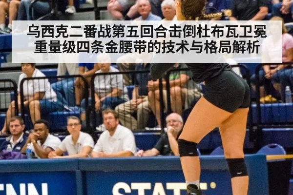 乌西克二番战第五回合击倒杜布瓦卫冕重量级四条金腰带的技术与格局解析